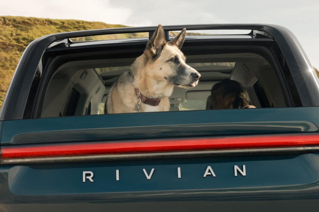 Pet Cam Celebration at Rivian